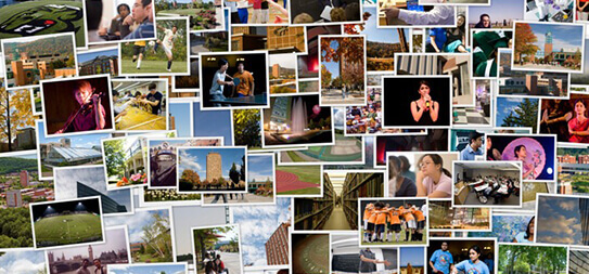 Galerija - grad-buje.net Galerija - grad-buje.net